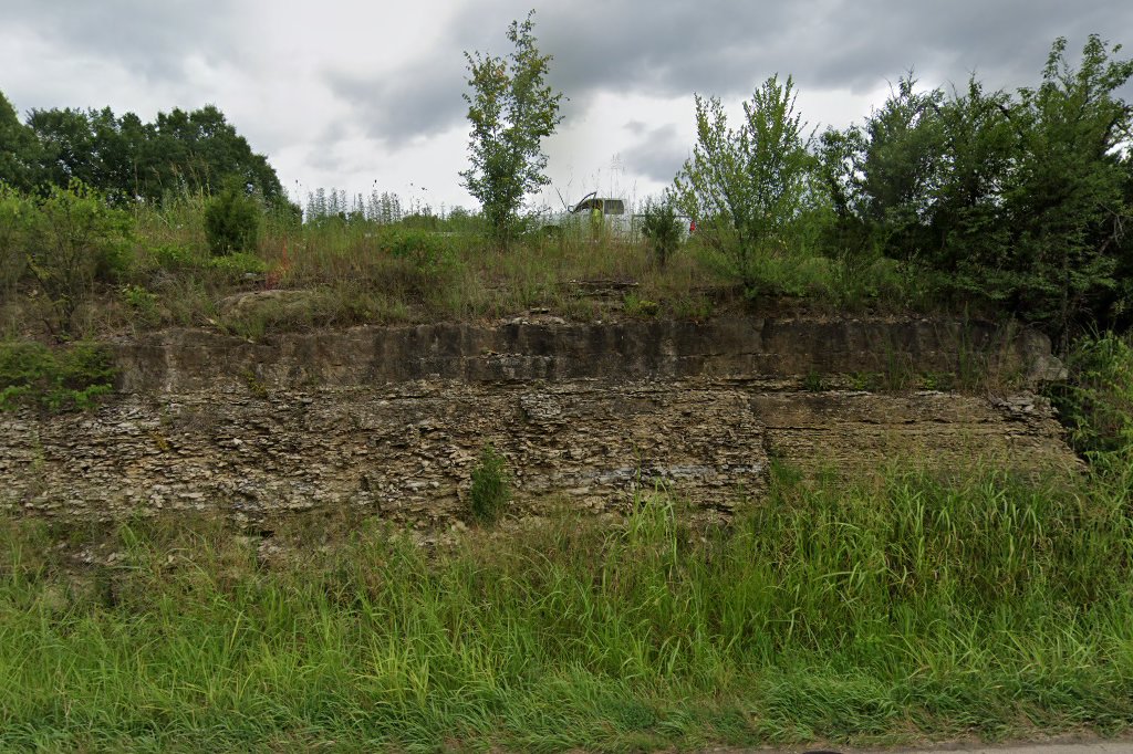 Twin City Animal Hospital