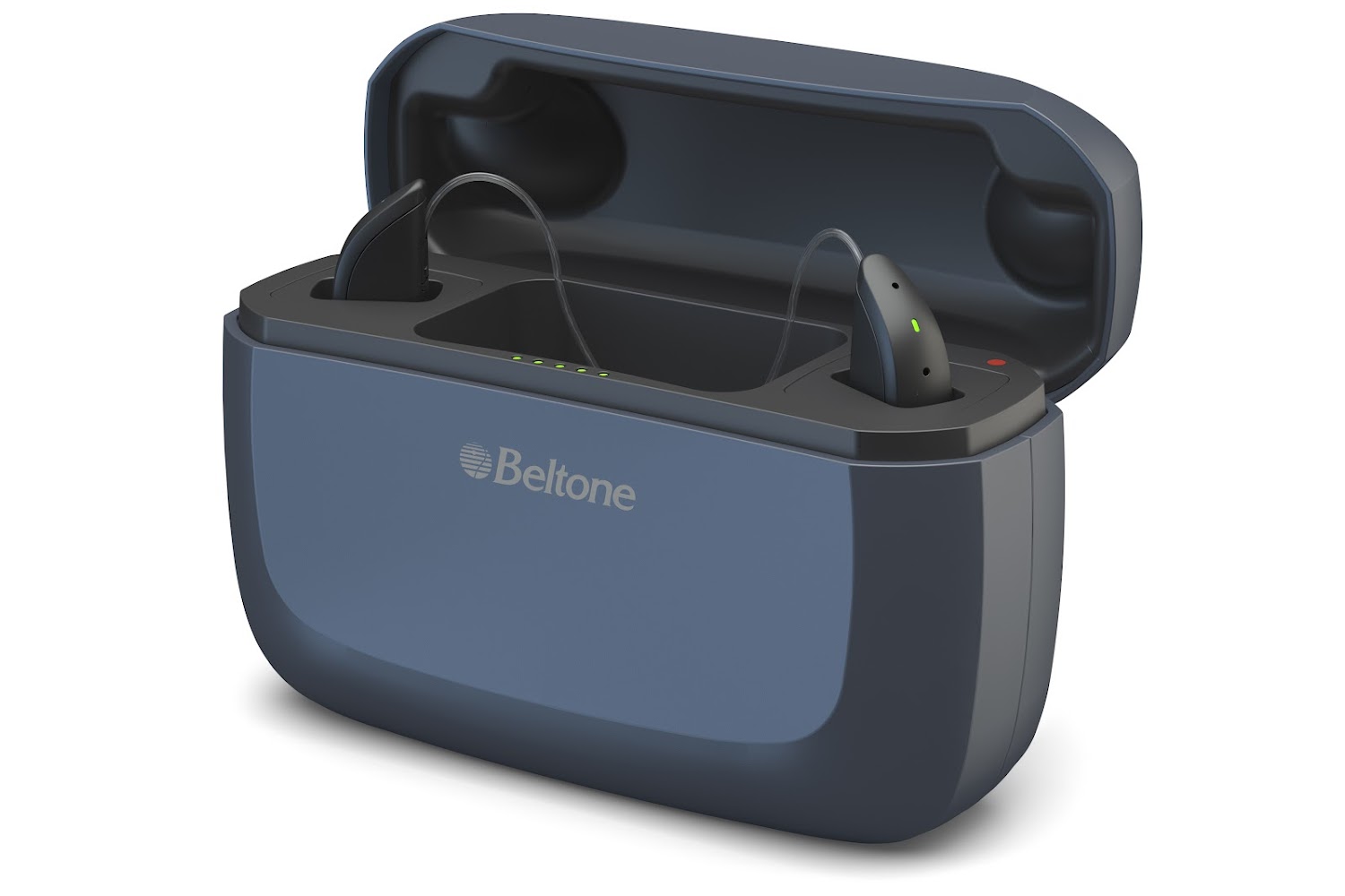 Village Veterinary Hospital