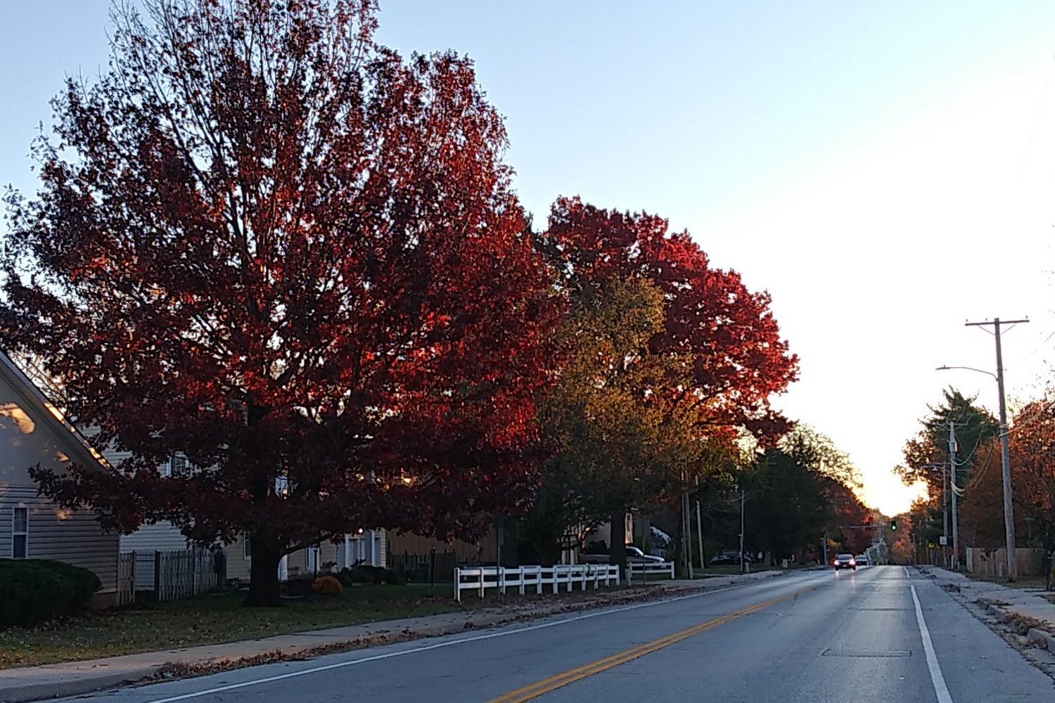 People for Animal Welfare Society