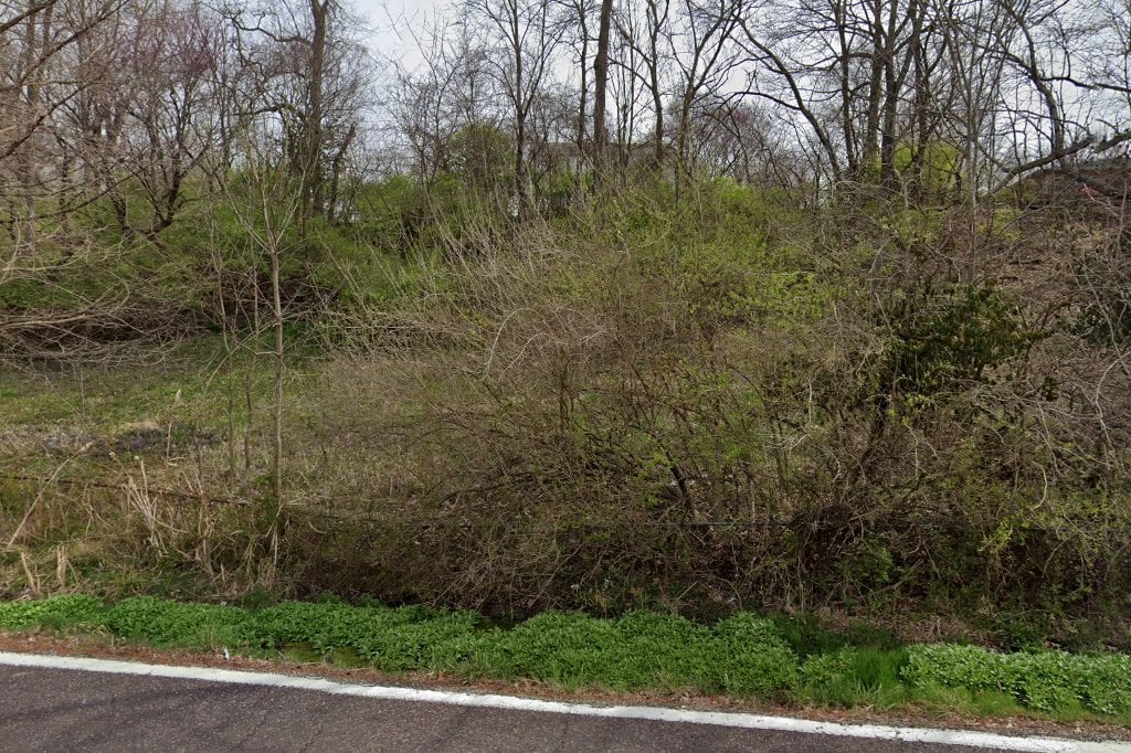 Feline Friends of Missouri