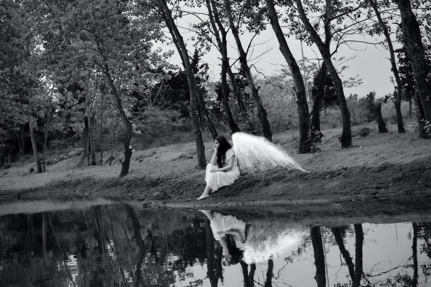 Longmeadow Rescue Ranch