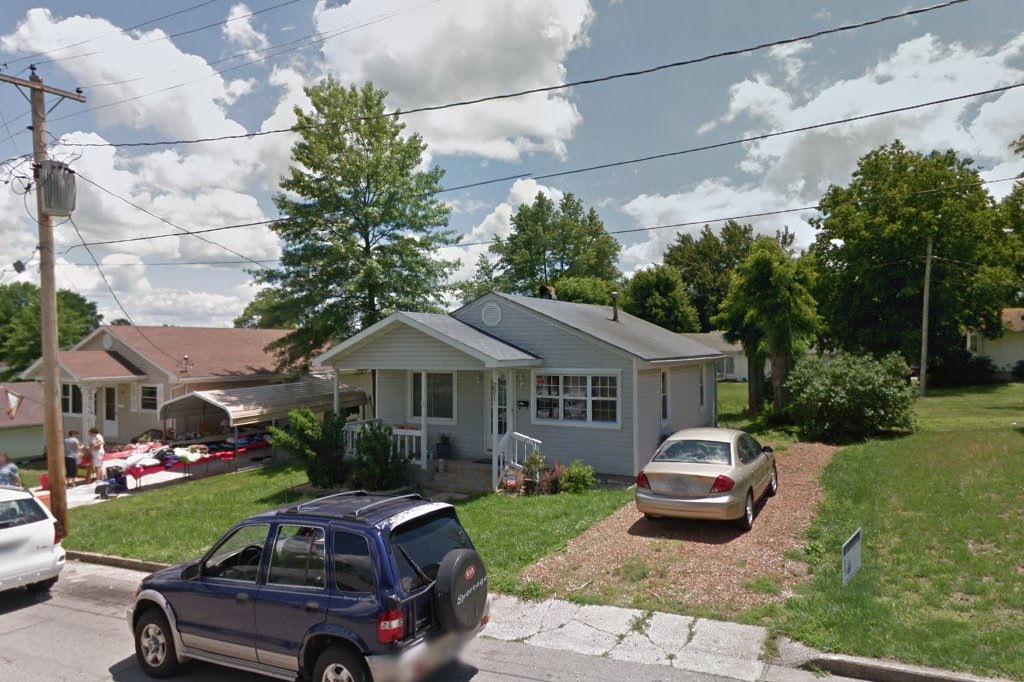 Missouri Foster Cats