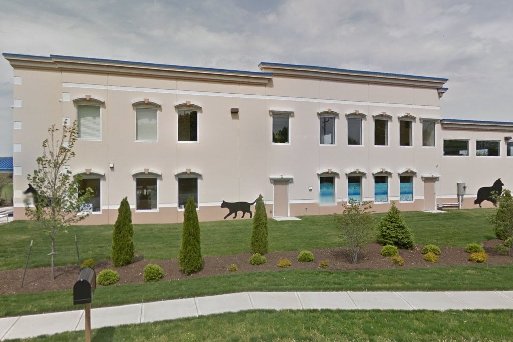 Angel Animal Hospital