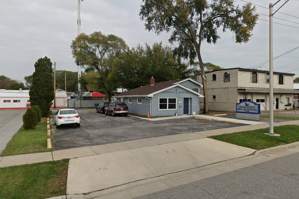 Hammond Pet Hospital