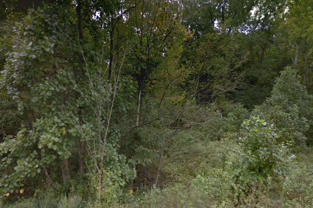 Southern Indiana Guinea Pig Rescue