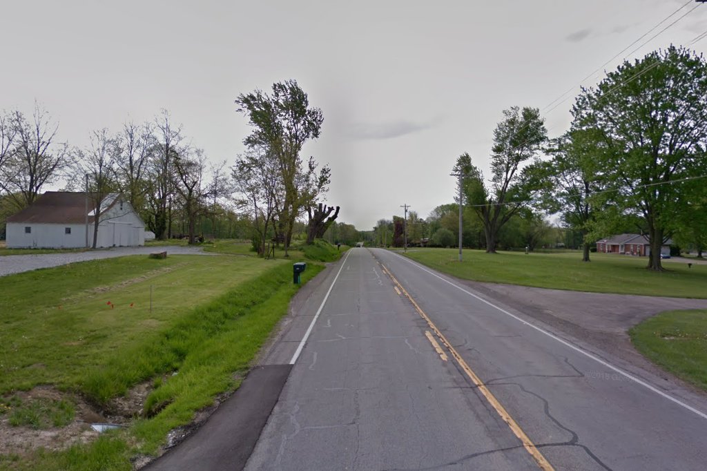 Seventh Heaven Rat Rescue