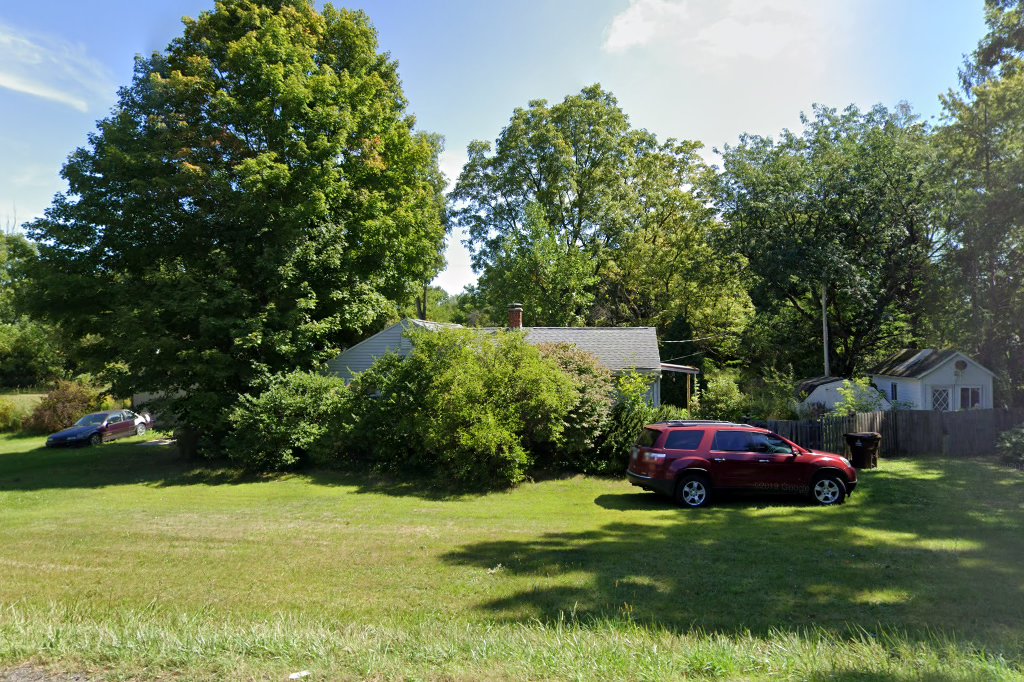 Michigan Weimaraner Rescue Inc