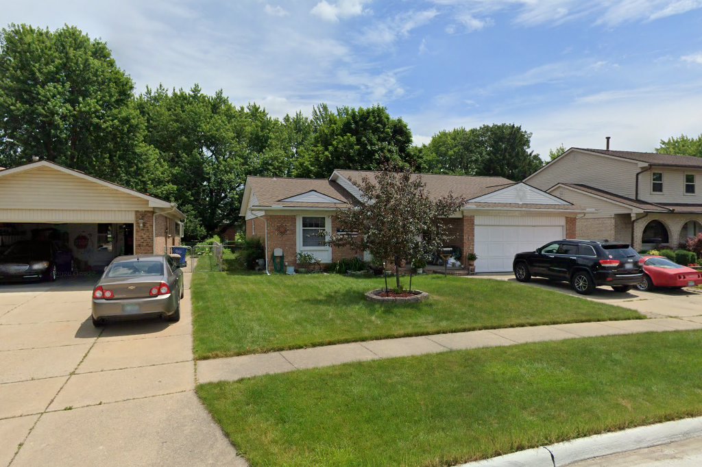 Out On A Limb Cat Rescue