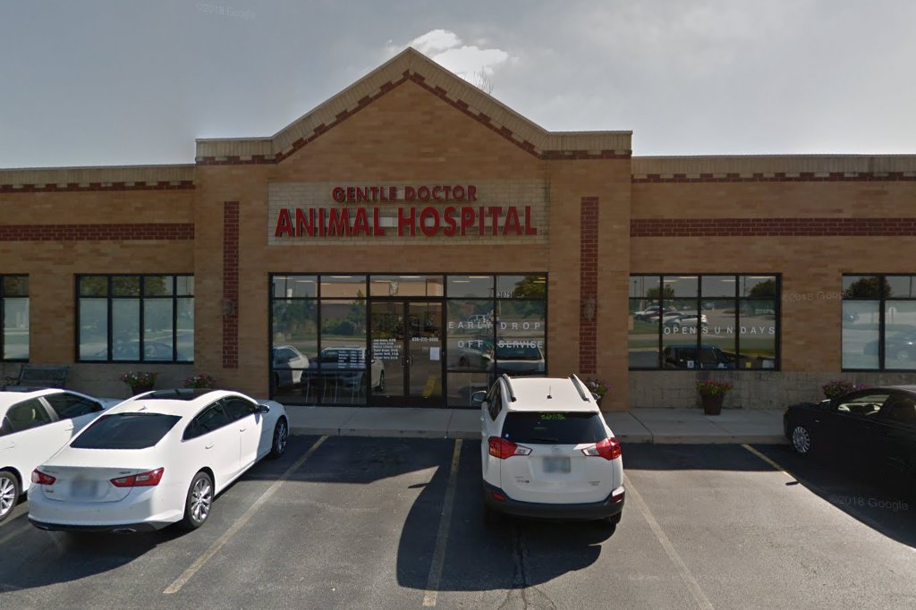 Gentle Doc Veterinary