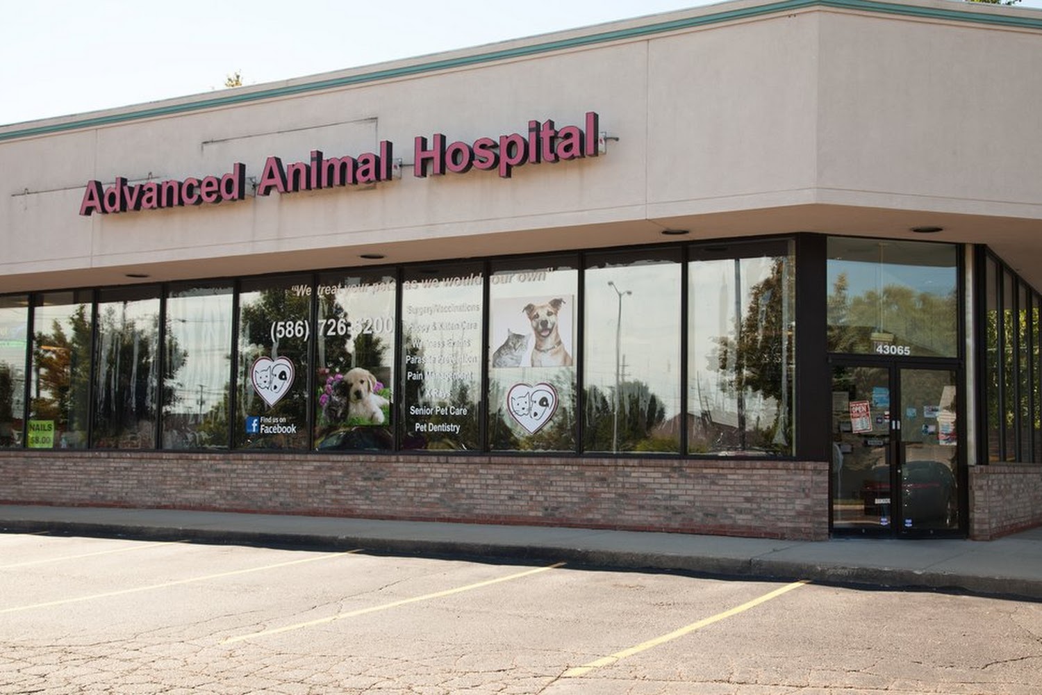 Advanced Animal Hospital