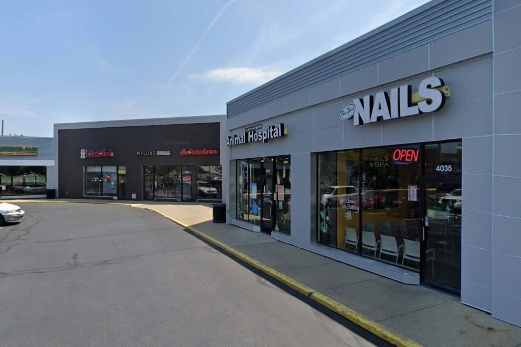 South Arbor Animal Hospital