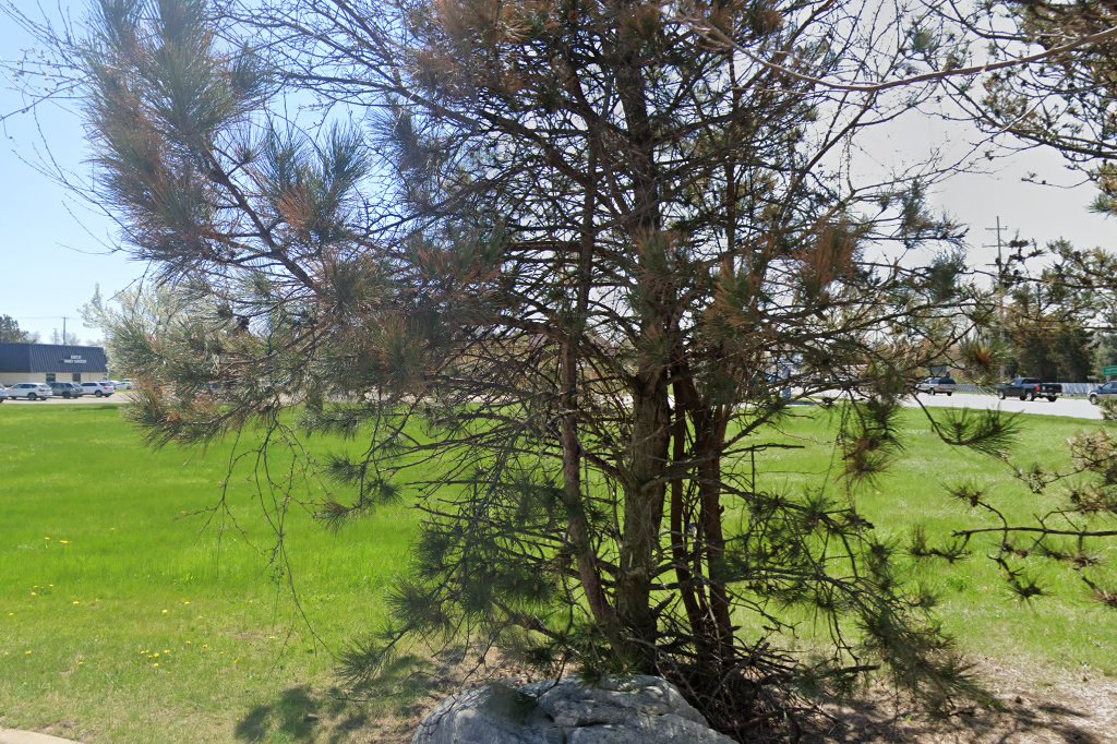 Alpine Animal Hospital