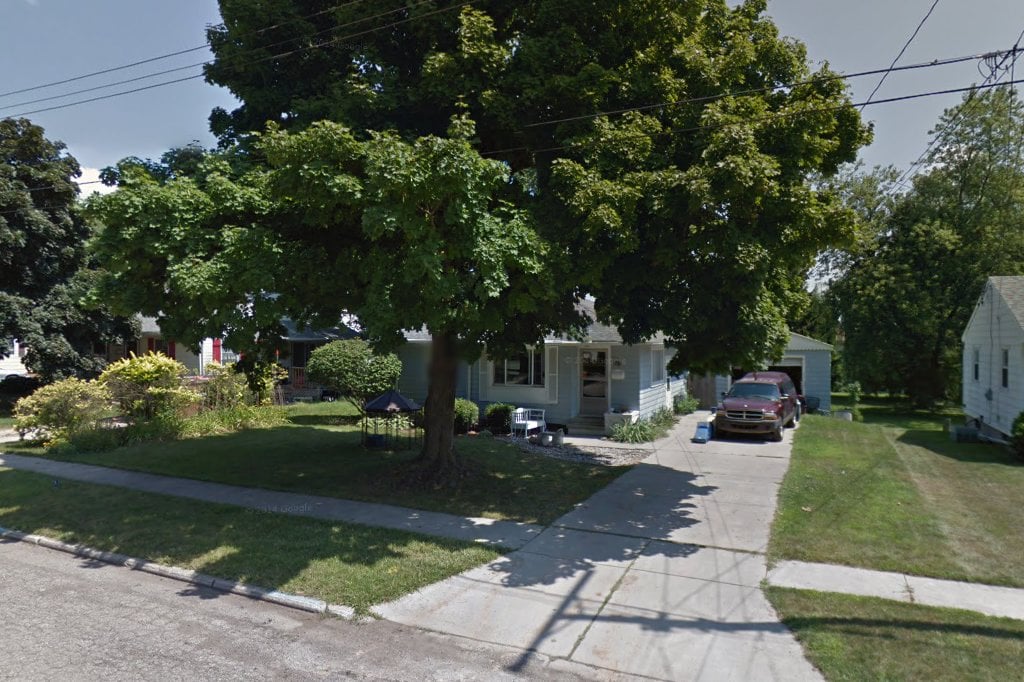 Mid-Michigan Cat Rescue