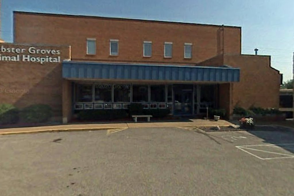 Webster Groves Animal Hospital