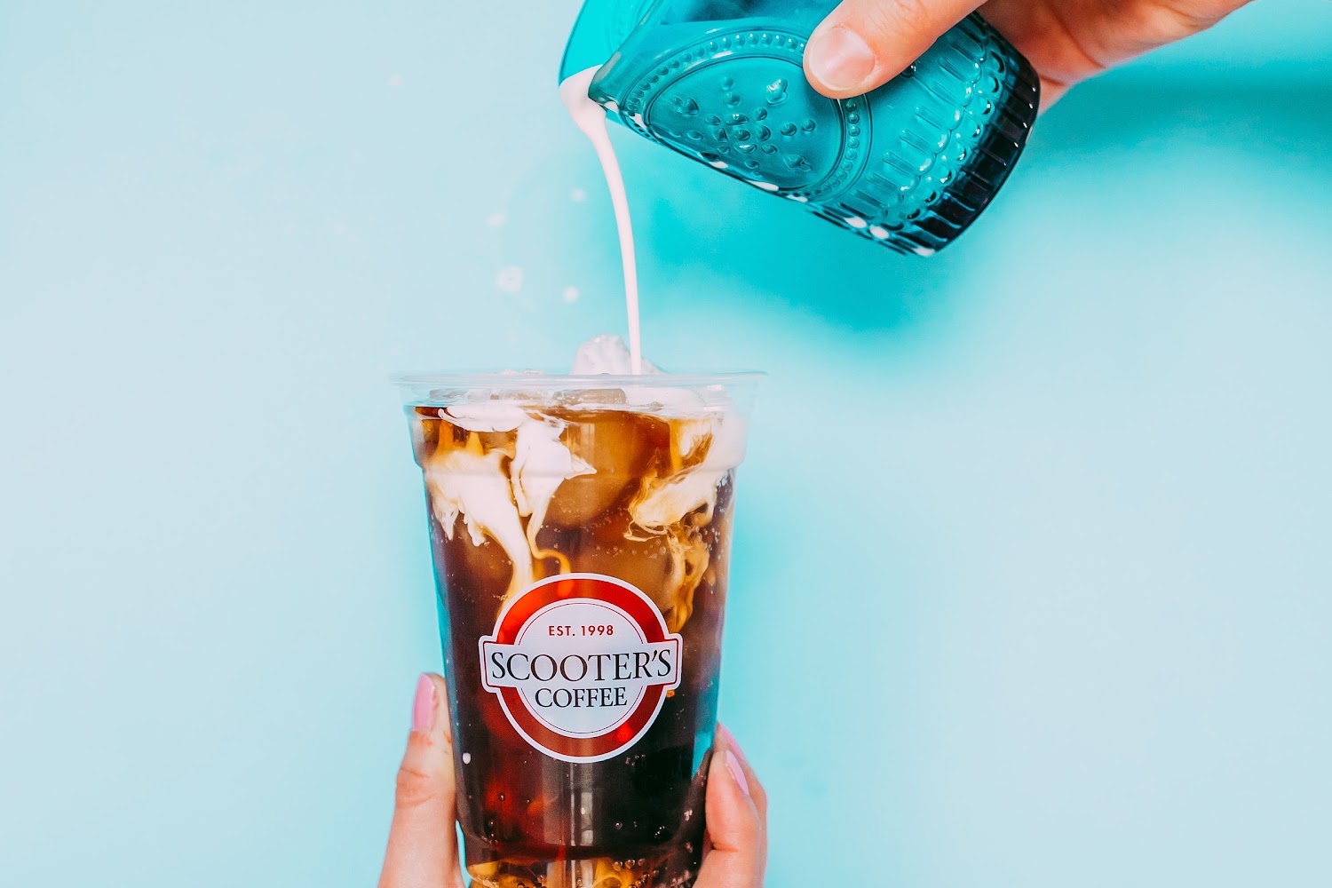 Westgate Animal Hospital