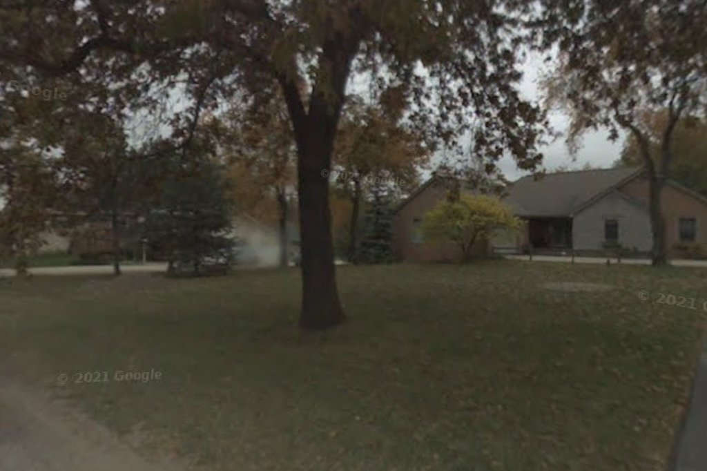 Fetch Dog Rescue and Adoption