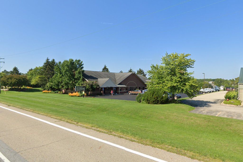 Southkent Veterinary Hospitals