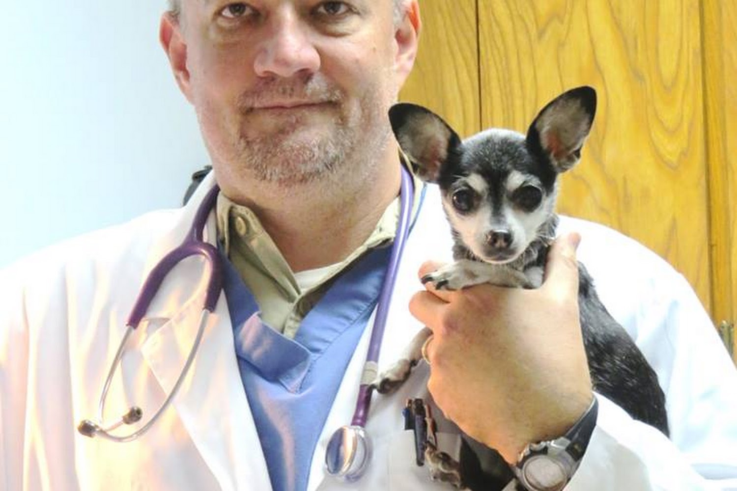 Cass County Animal Hospital