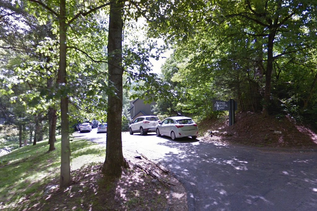 Animal Hospital East