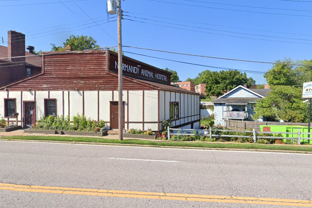 Normandy Animal Hospital