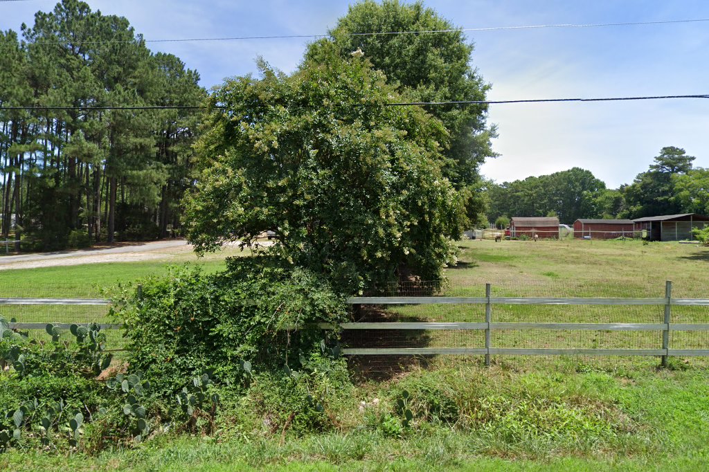 Large Animal Veterinary Services