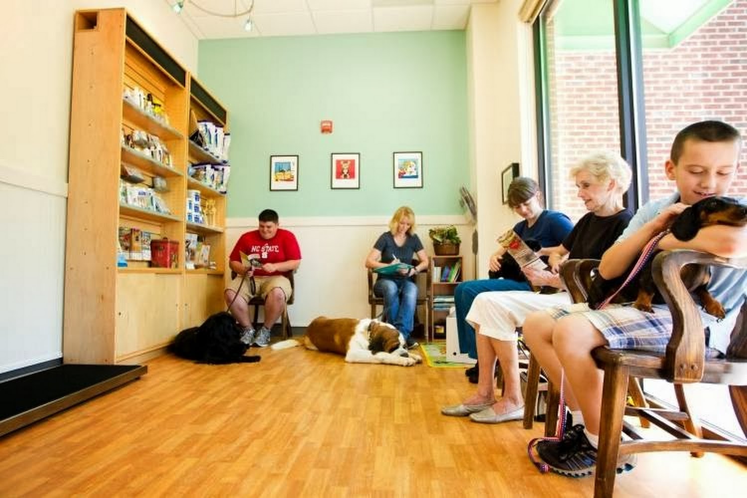 All 4 Paws Animal Hospital