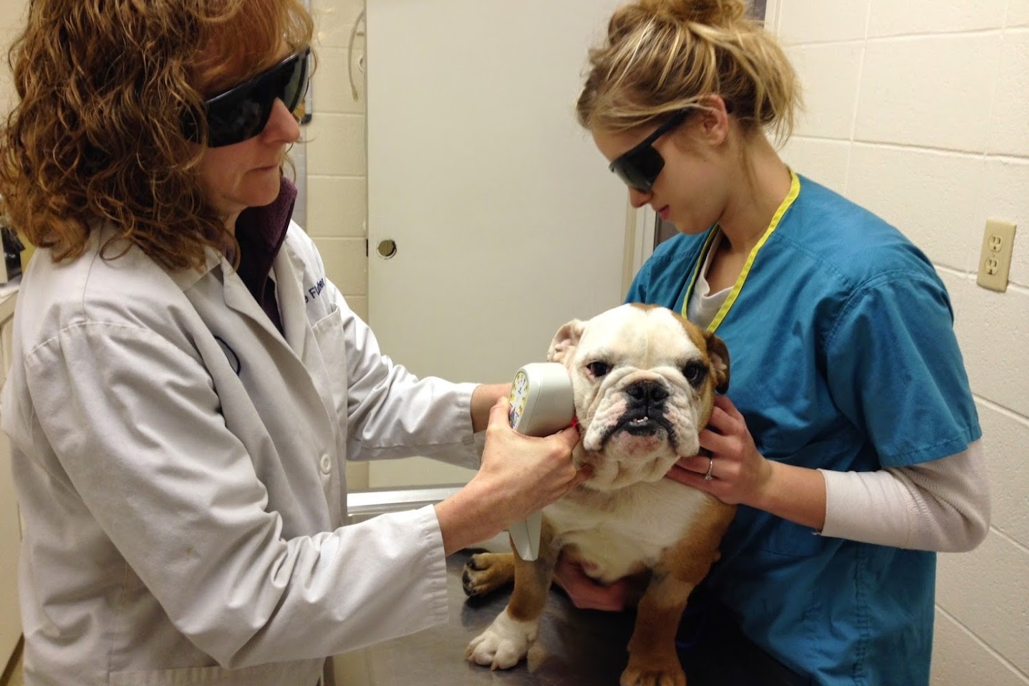 Angel Animal Hospital