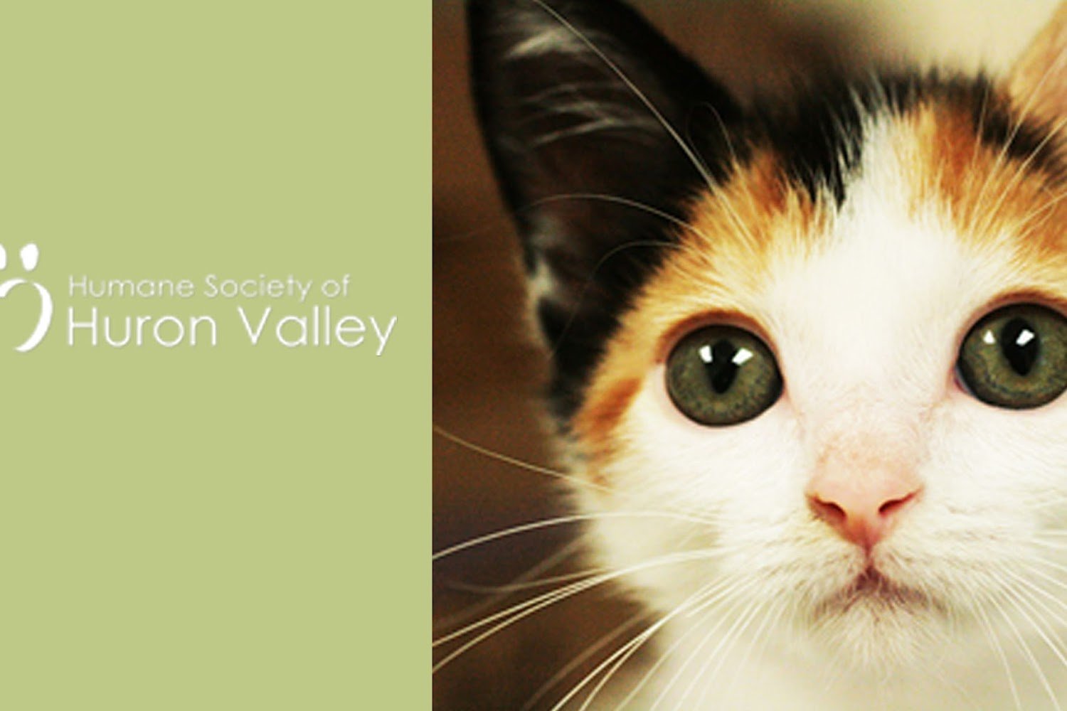 Humane Society of Huron Valley