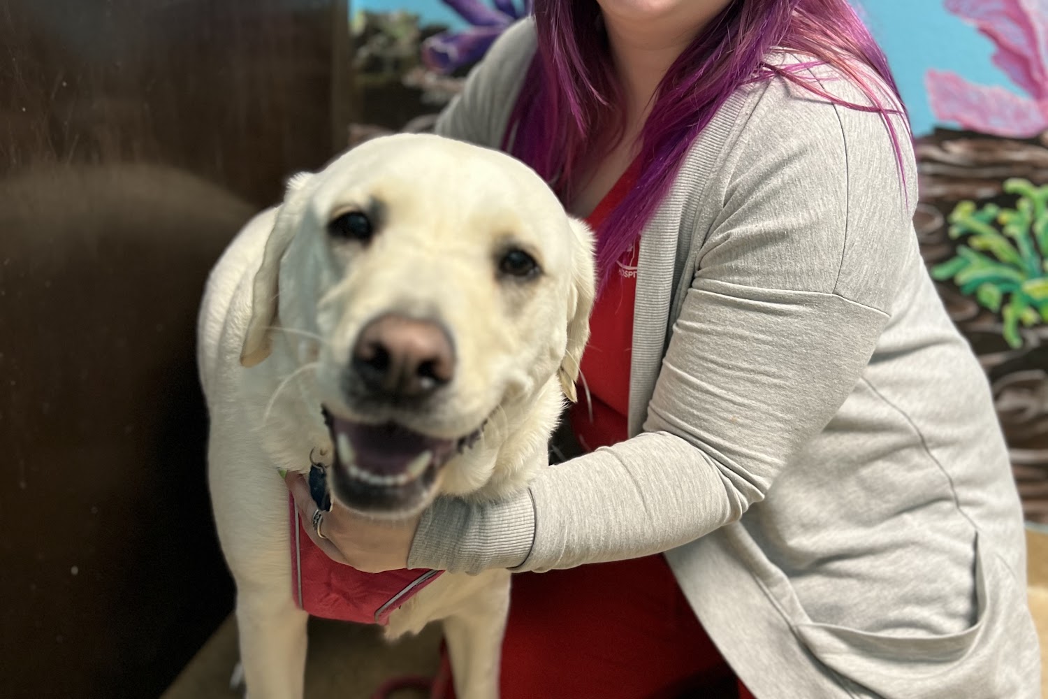 Branson Veterinary Hospital