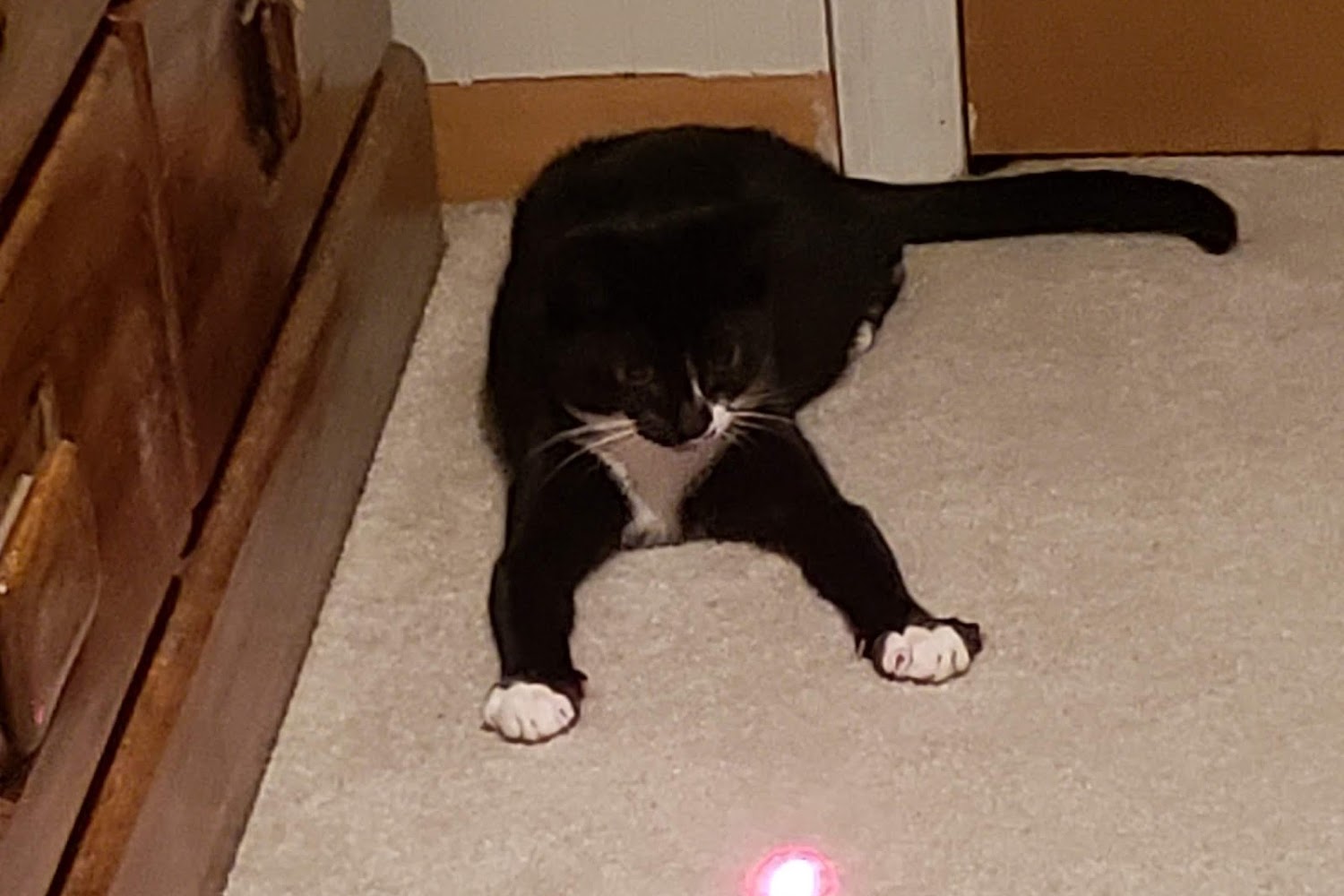 Brownstown Animal Shelter