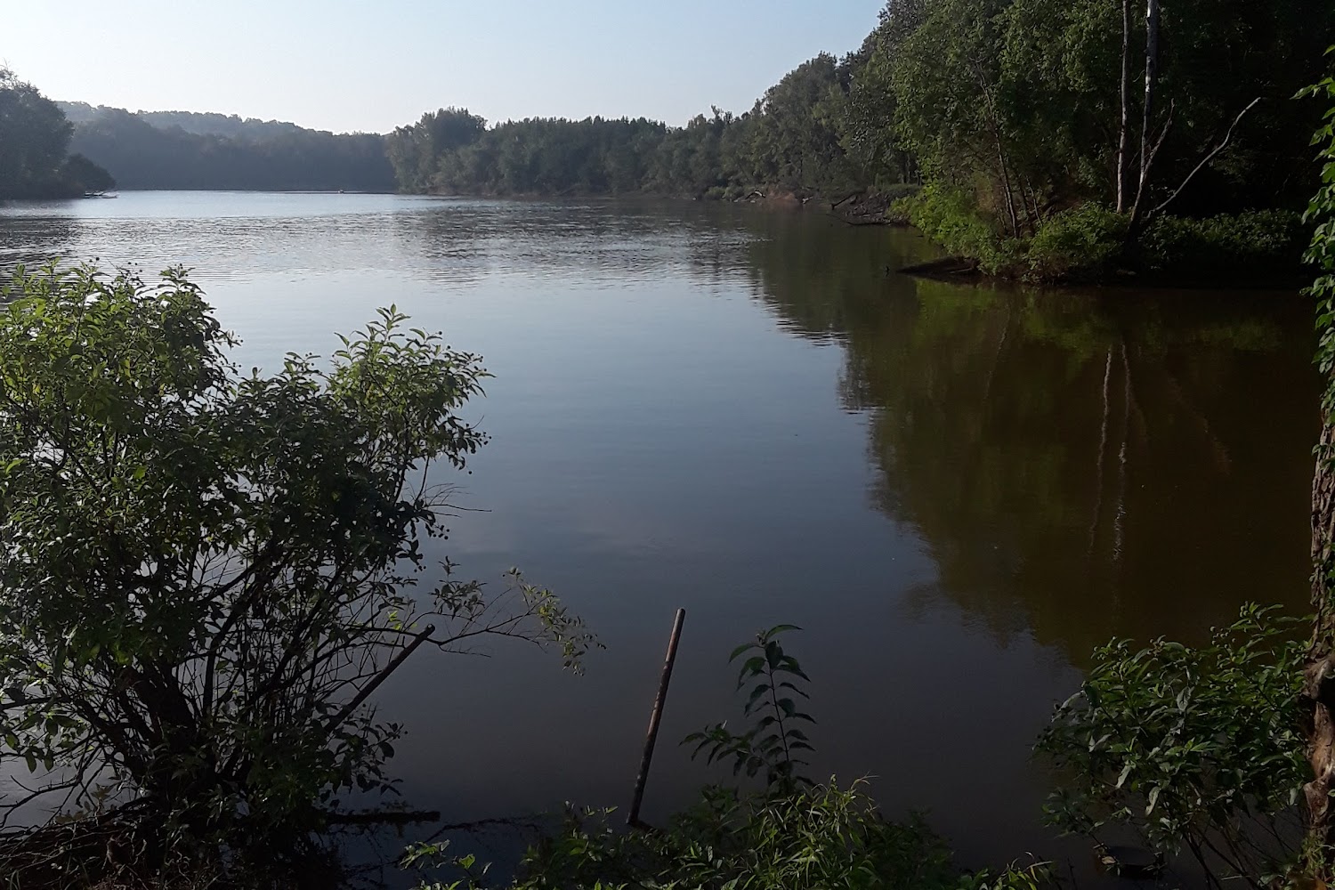 Greenville Animal Control