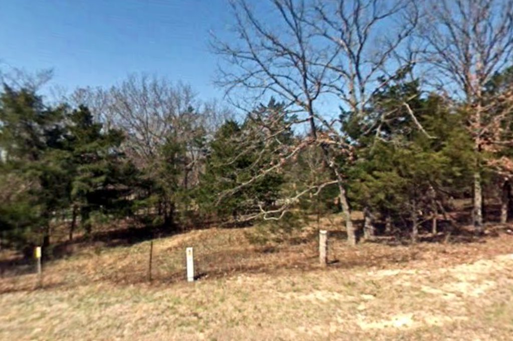 Animal Shelter of Texas County