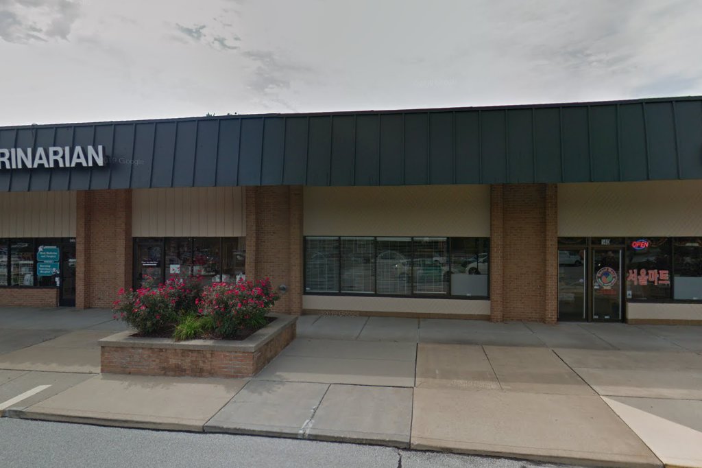 Bird Medicine & Surgery