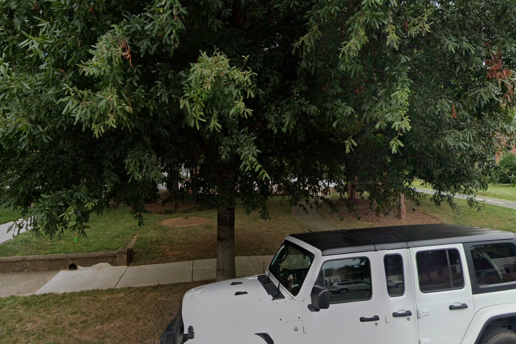 Dilworth Animal Hospital