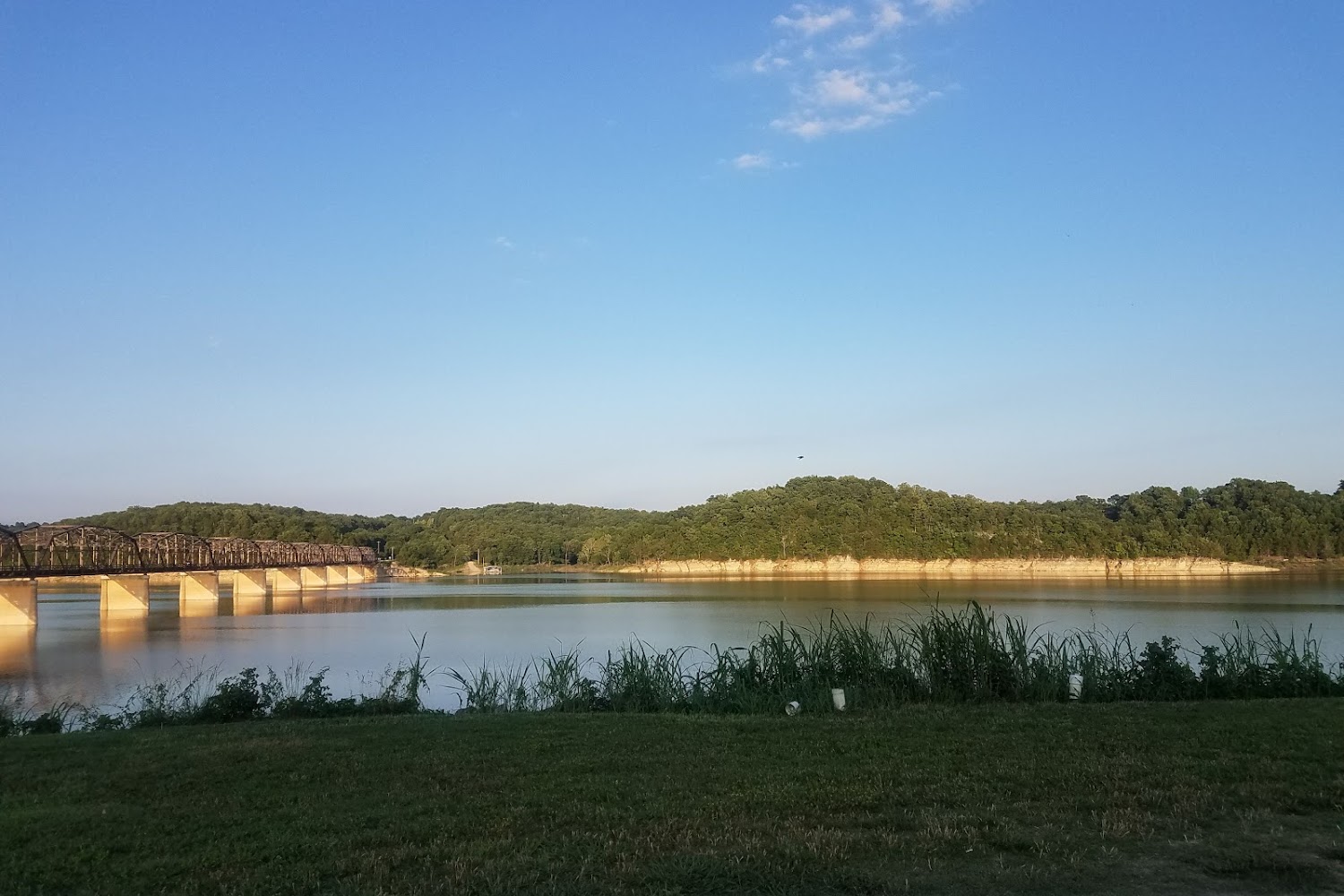 Theodosia Animal Control