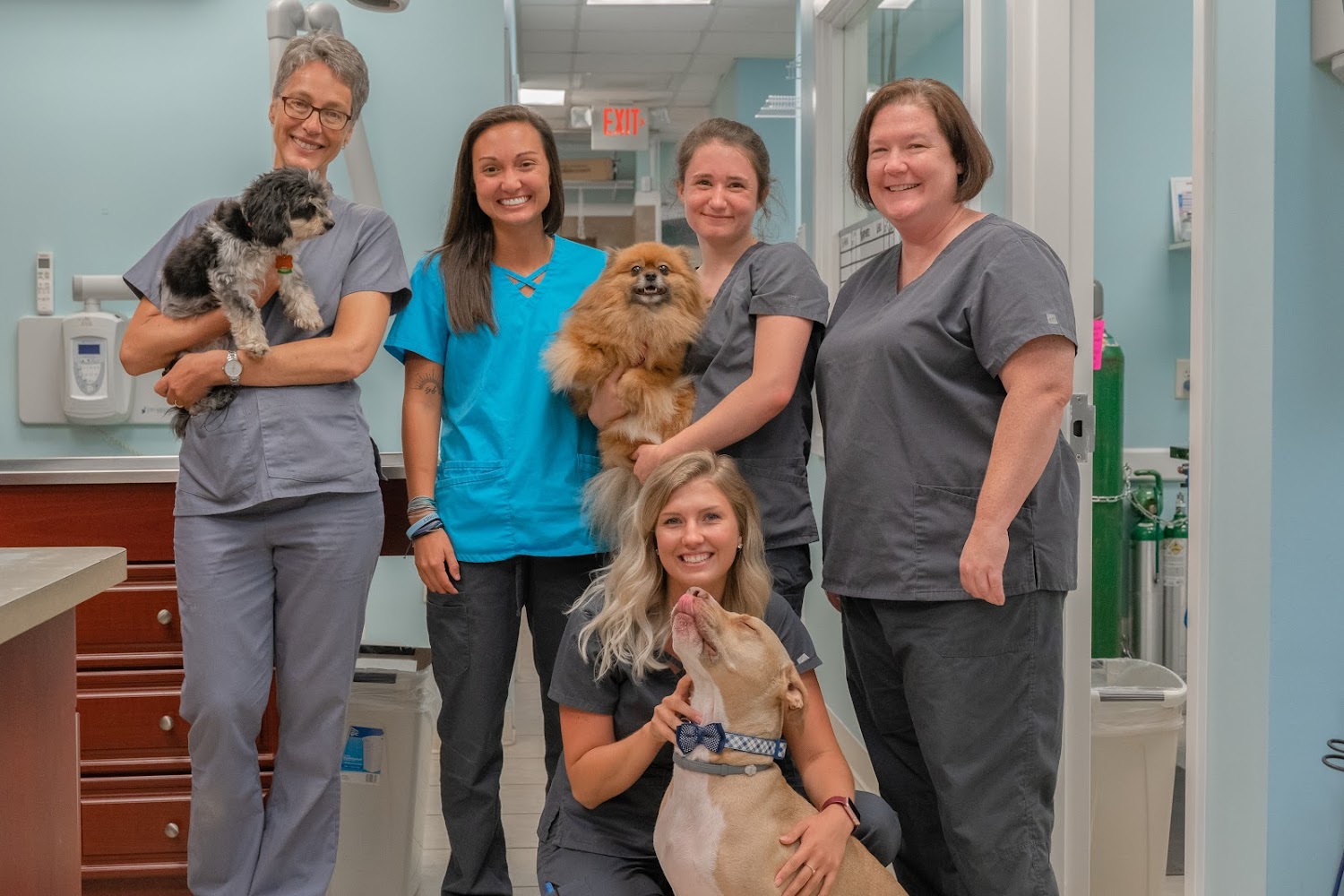 Harmony Animal Hospital