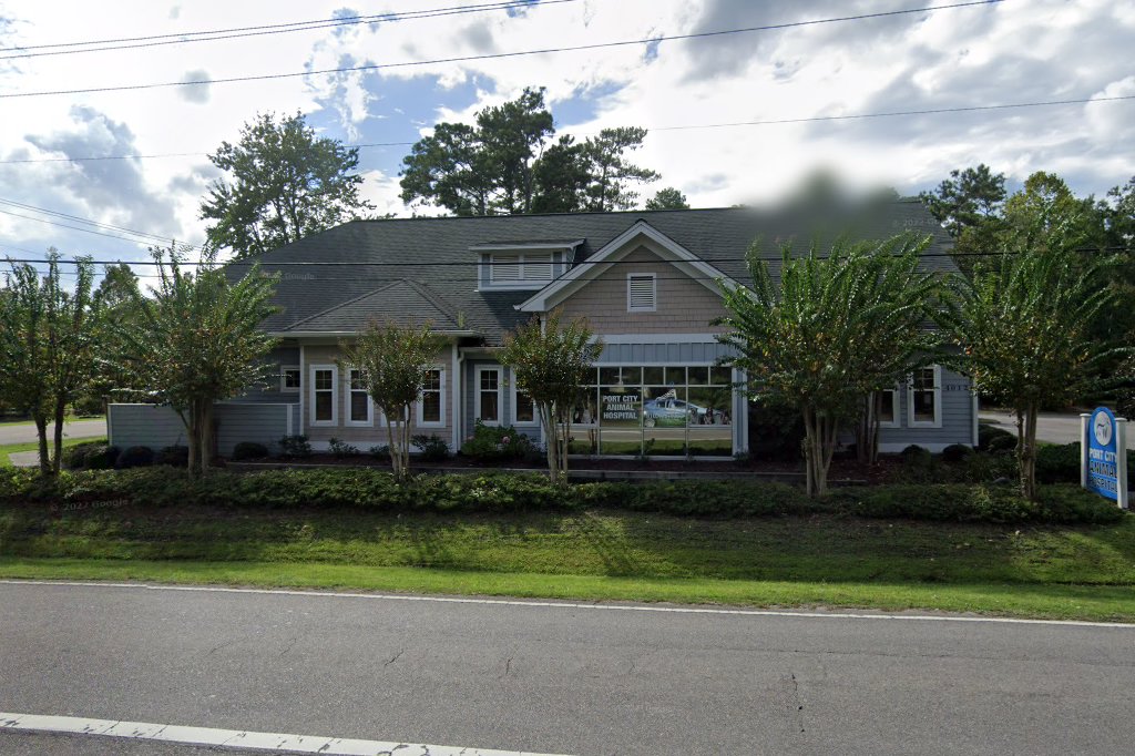 Port City Animal Hospital