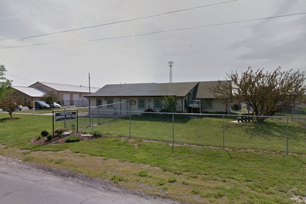 Mexico Animal Shelter