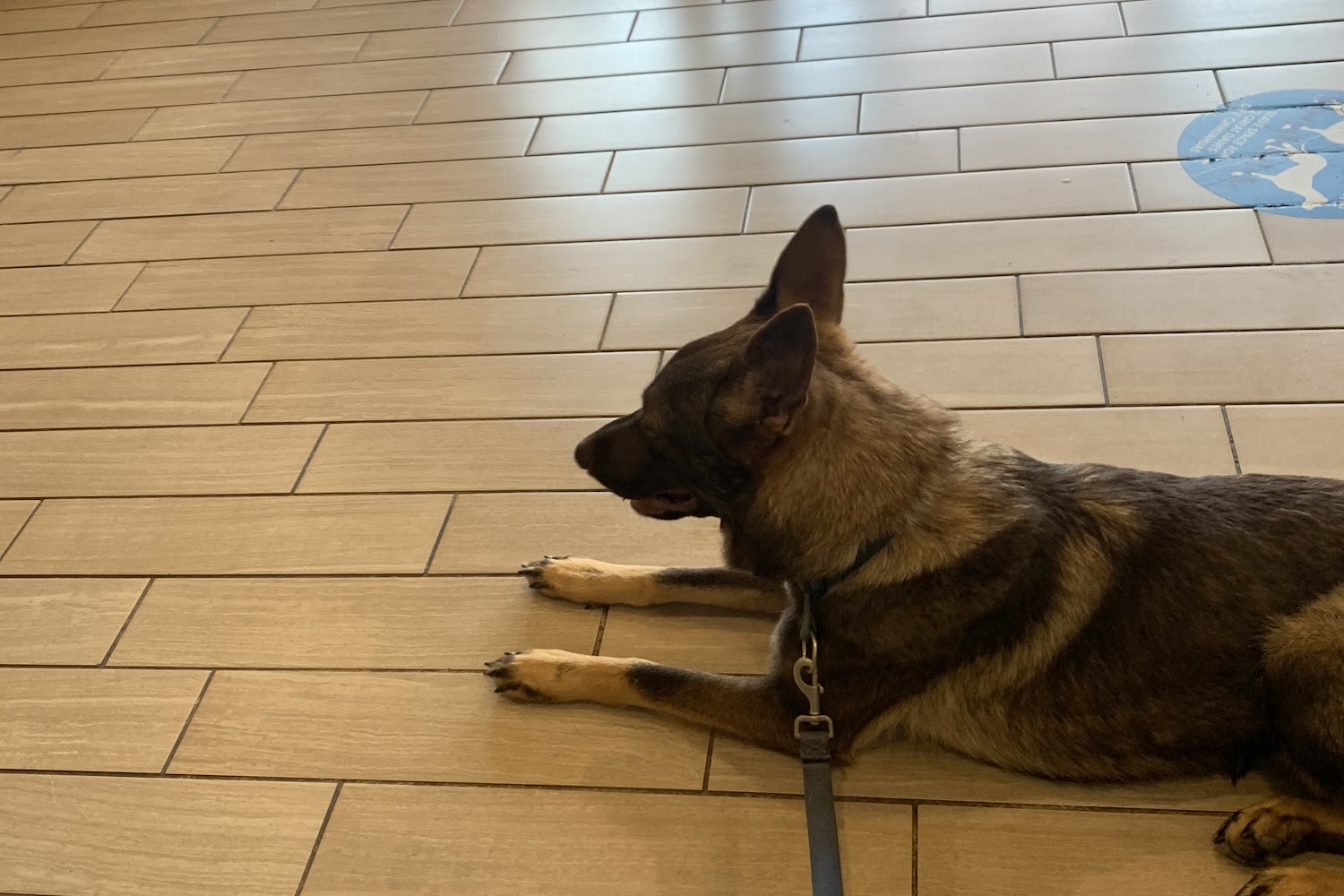 Quail Hollow Veterinary Hospital