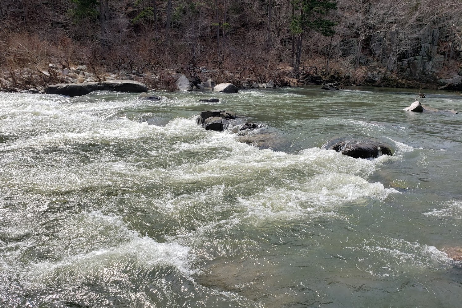 Fredericktown Animal Control