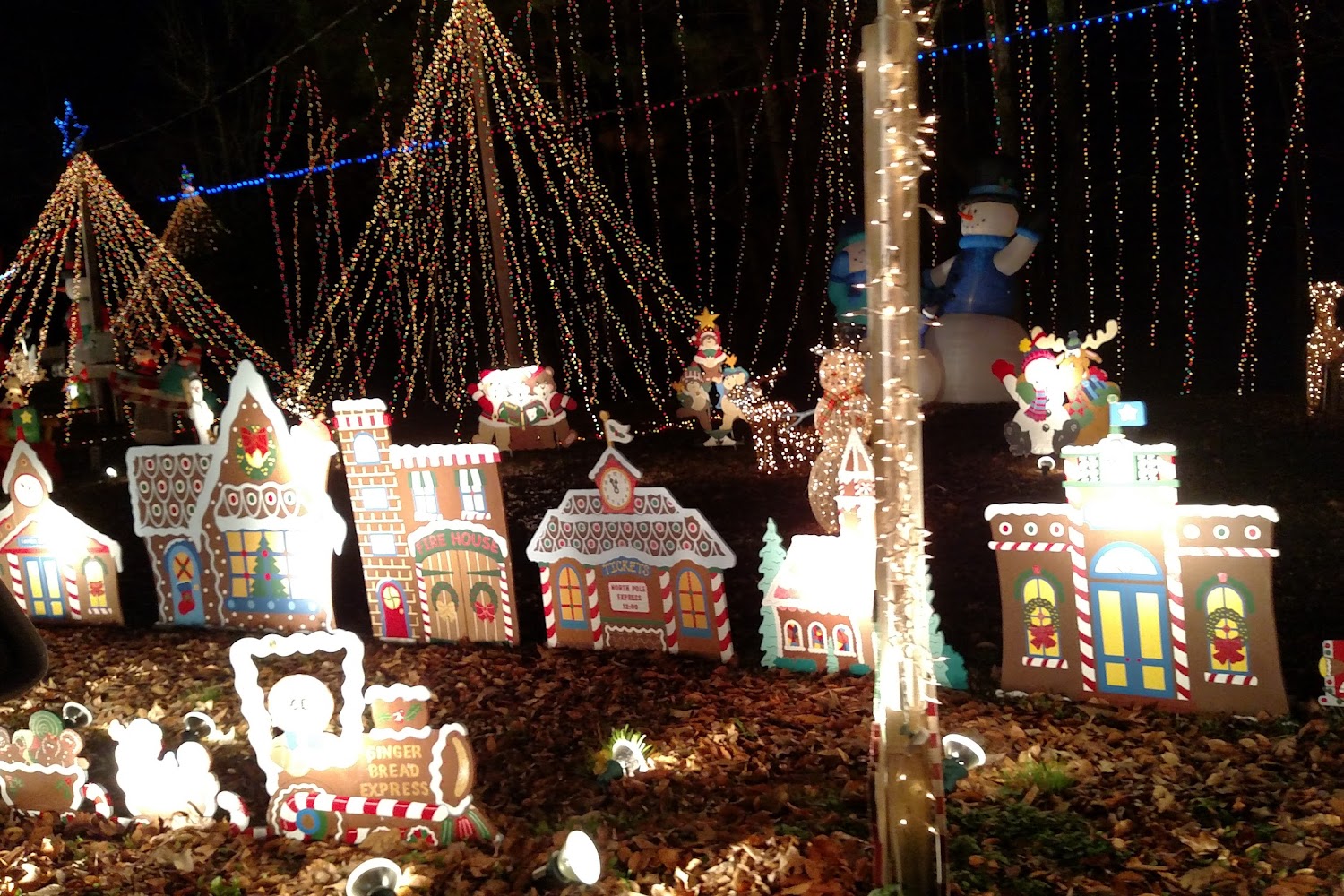 Bertie County Animal Shelter