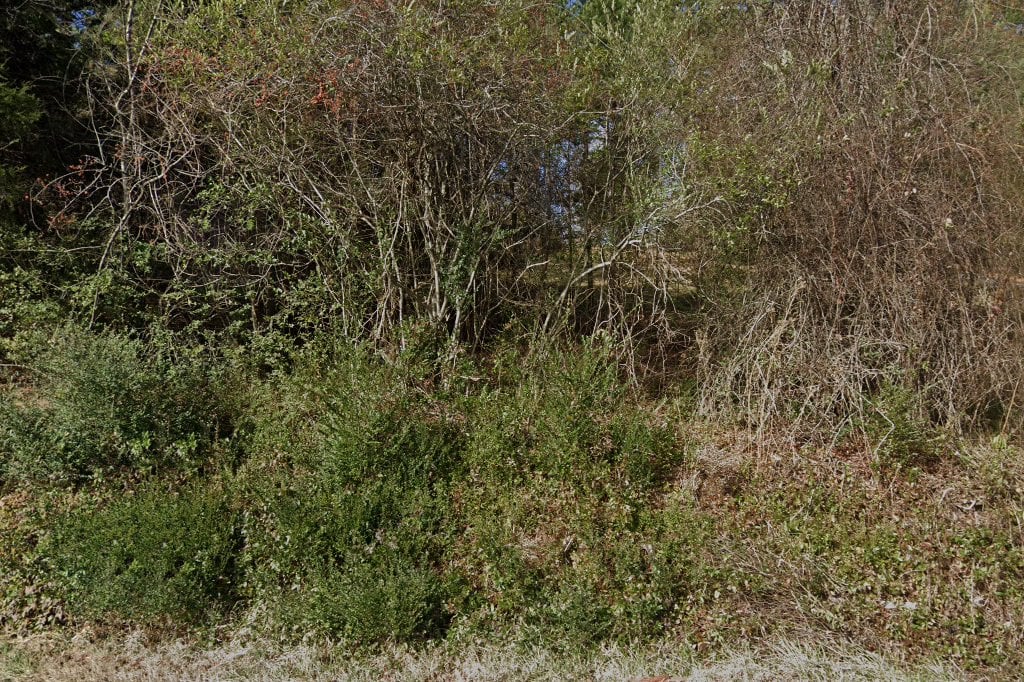 North Carolina Animal Resource & Education Services