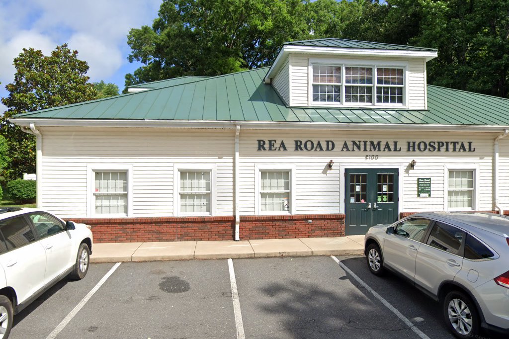 Rea Road Animal Hospital
