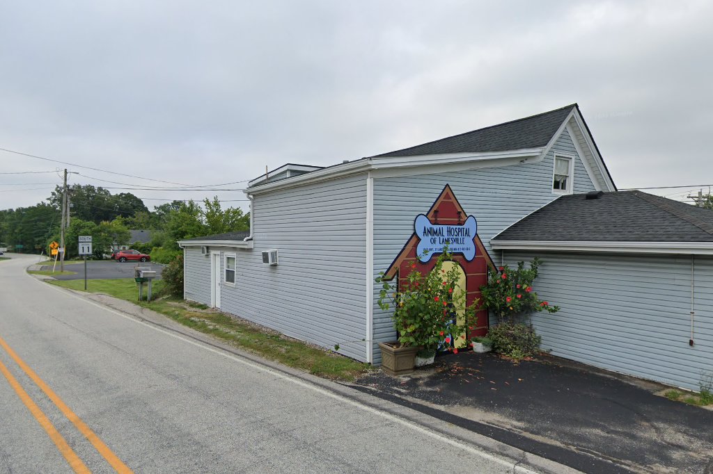 Animal Hospital of Lanesville