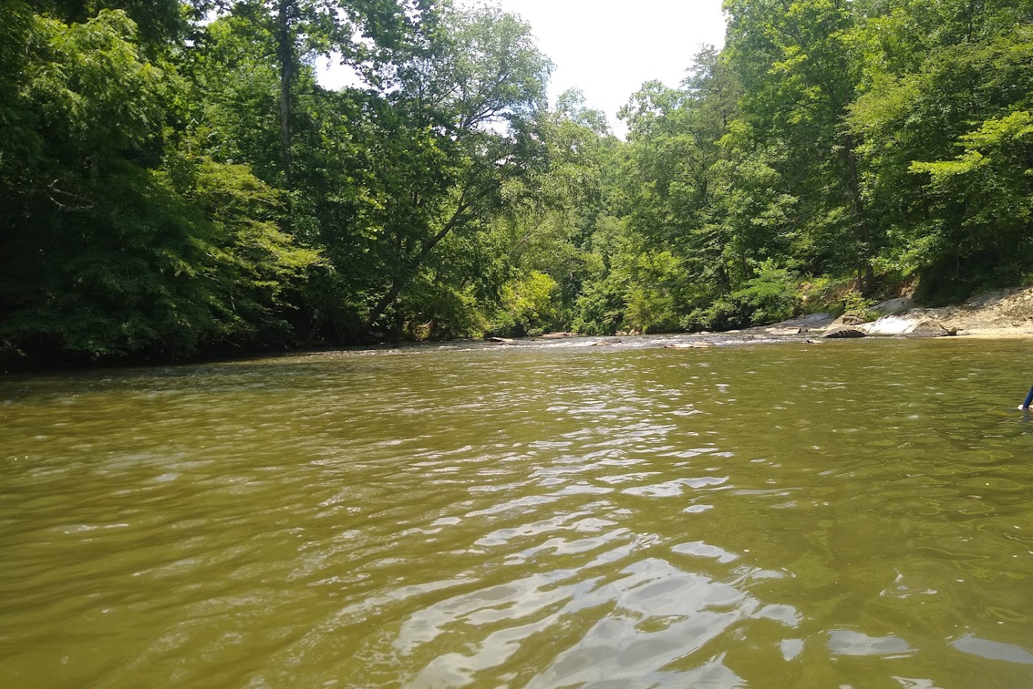 Stokes County Humane Society