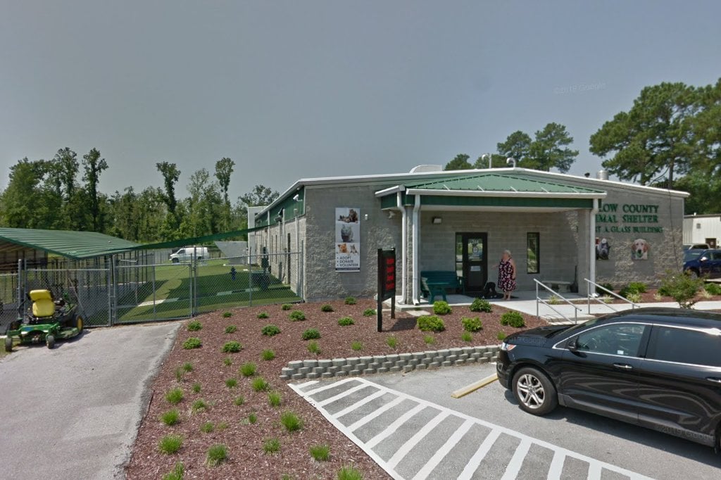 Onslow County Animal Services