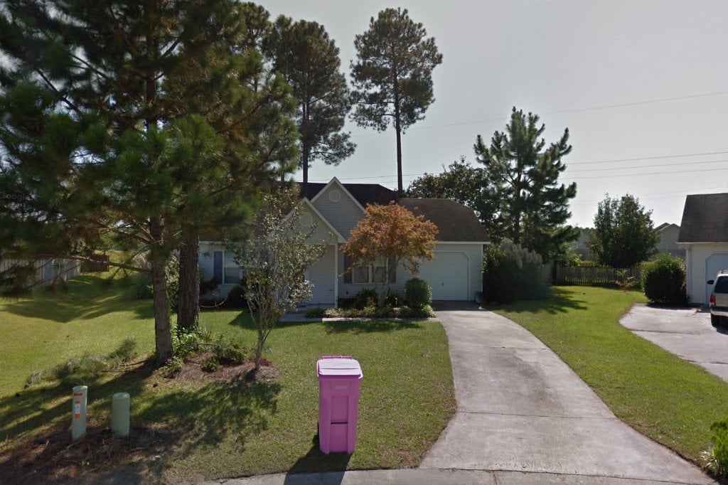 Carolina Boxer Rescue