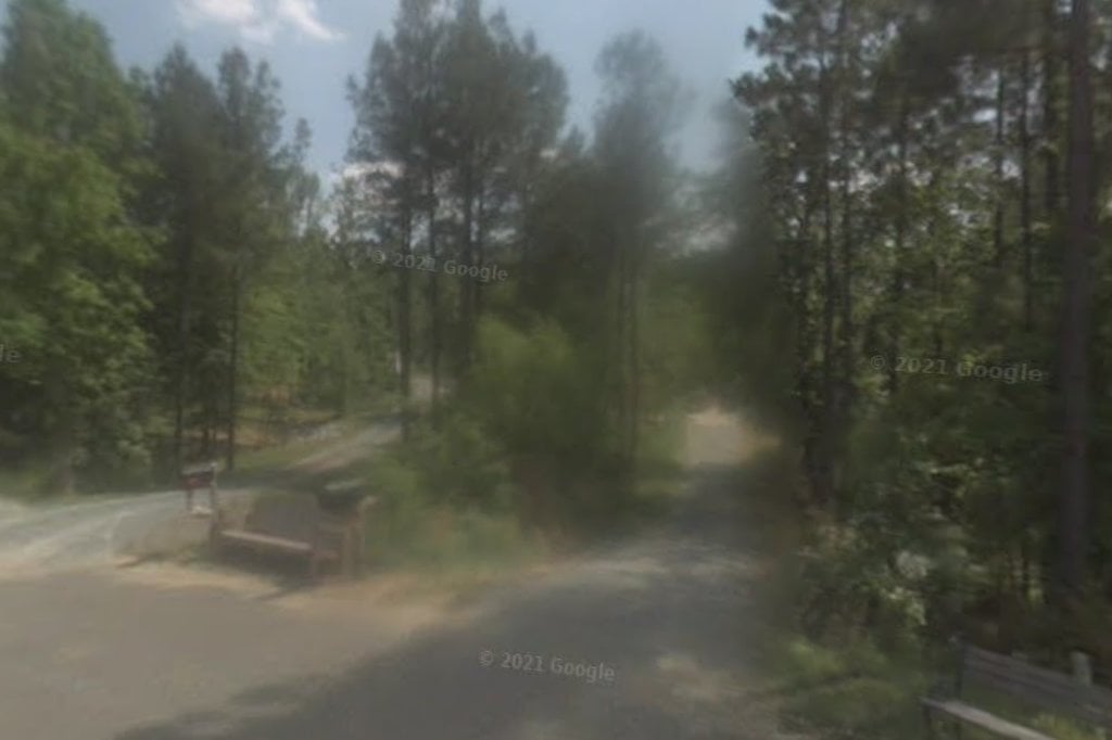 Best Buddies Companion Rescue & Adoption