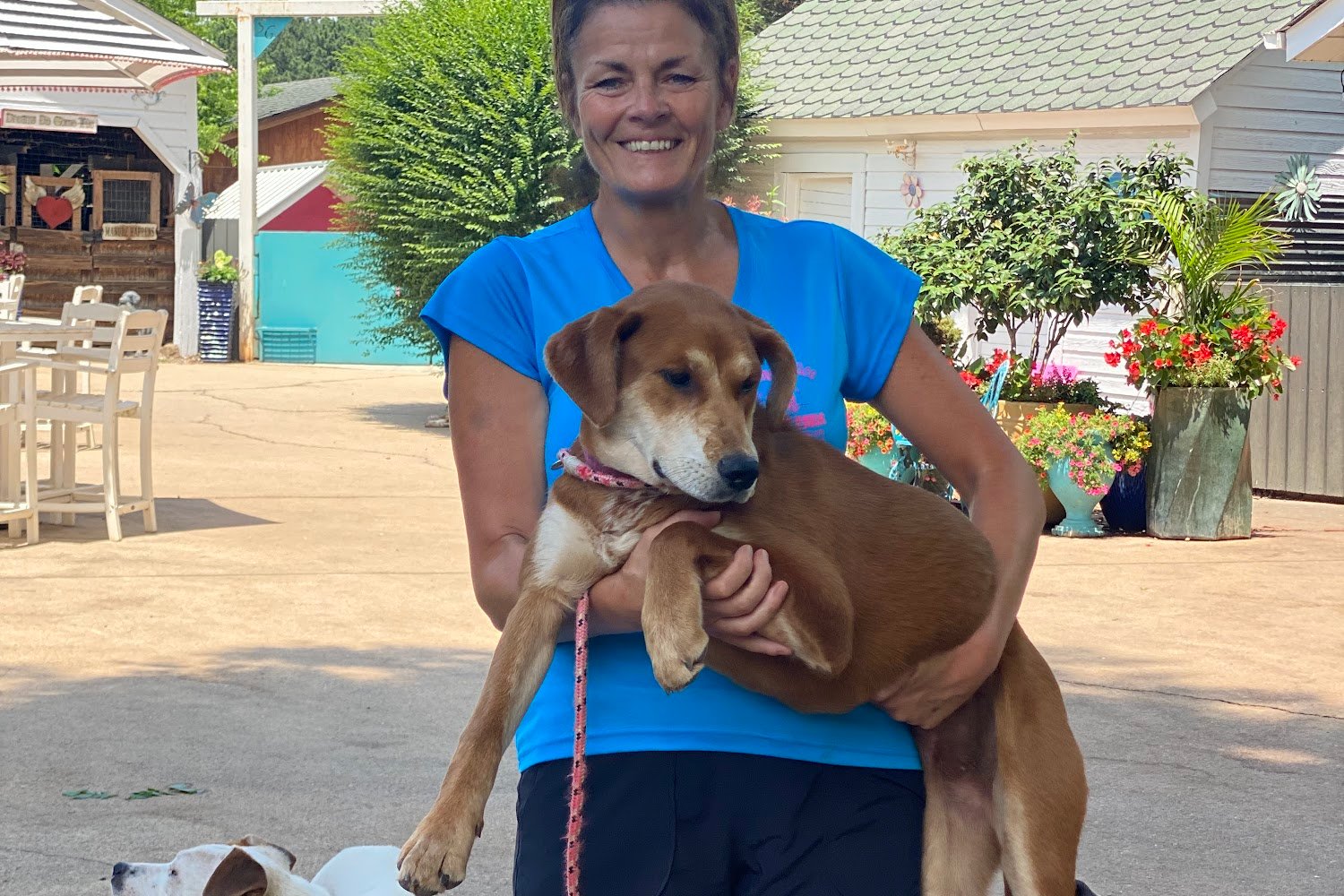 Wake Forest Animal Control