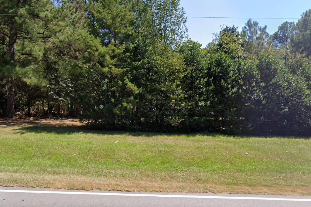 Dalmatian Rescuecentral Carolina Dalmatian Club Rescue Committee